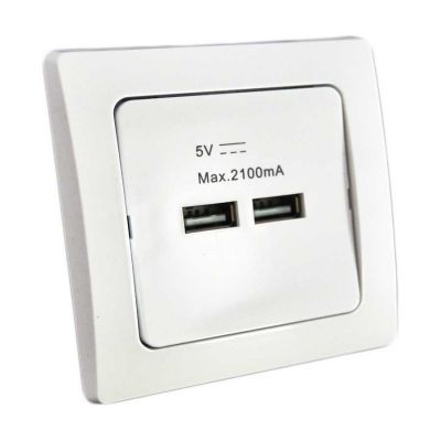 2-fach USB-Ladedose, weiß 250V~/ 16A, UP, 5V, gesamt max. 2A - 1