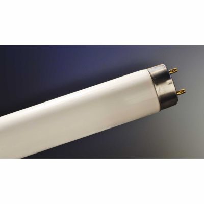 18W/075 Fresh Light Leuchtstofflampe T8, Länge: 590mm - 1